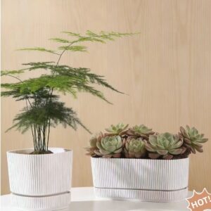 White planter set