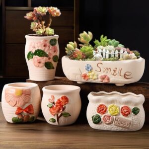 5 piece ceramic flower pot set