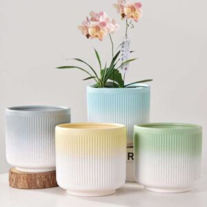 Ceramic succulent pot set