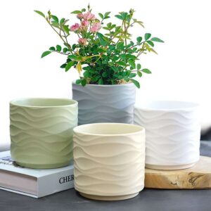 Ceramic plant pot set
