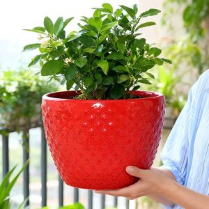 Red ceramic planter