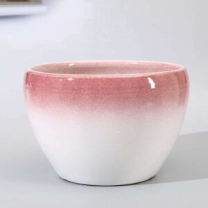 Dual colored ceramic planter
